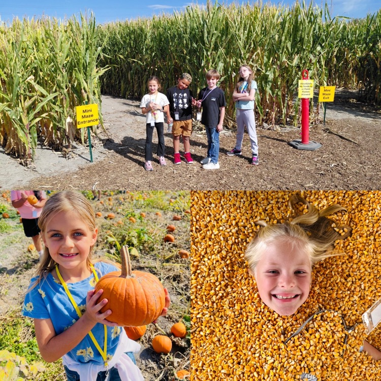 2nd graders exploring different activities on their field trip to Cross E. Ranch