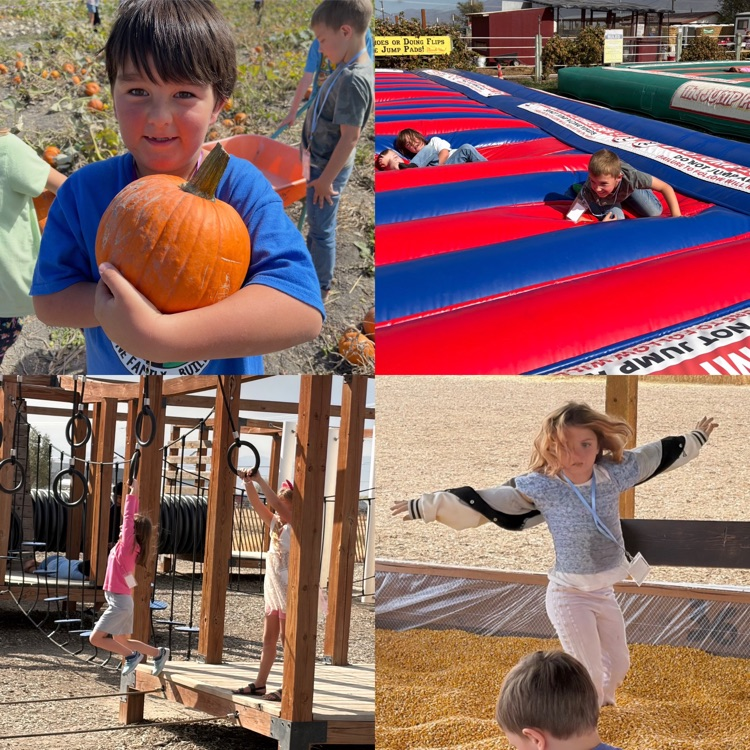 2nd graders exploring different activities on their field trip to Cross E. Ranch