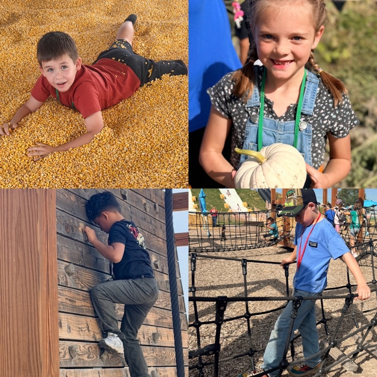 2nd graders exploring different activities on their field trip to Cross E. Ranch