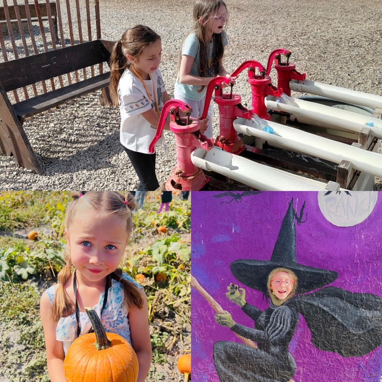 2nd graders exploring different activities on their field trip to Cross E. Ranch