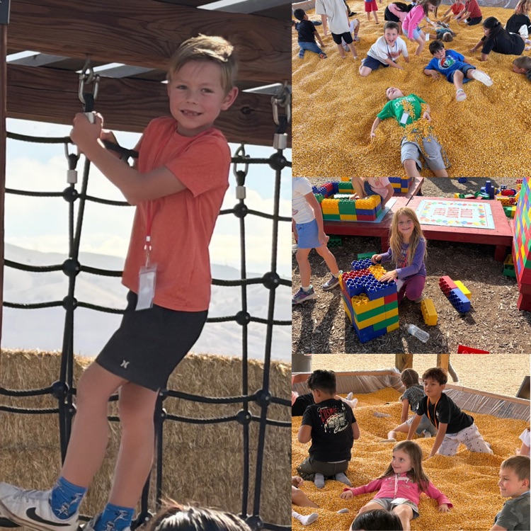 2nd graders exploring different activities on their field trip to Cross E. Ranch