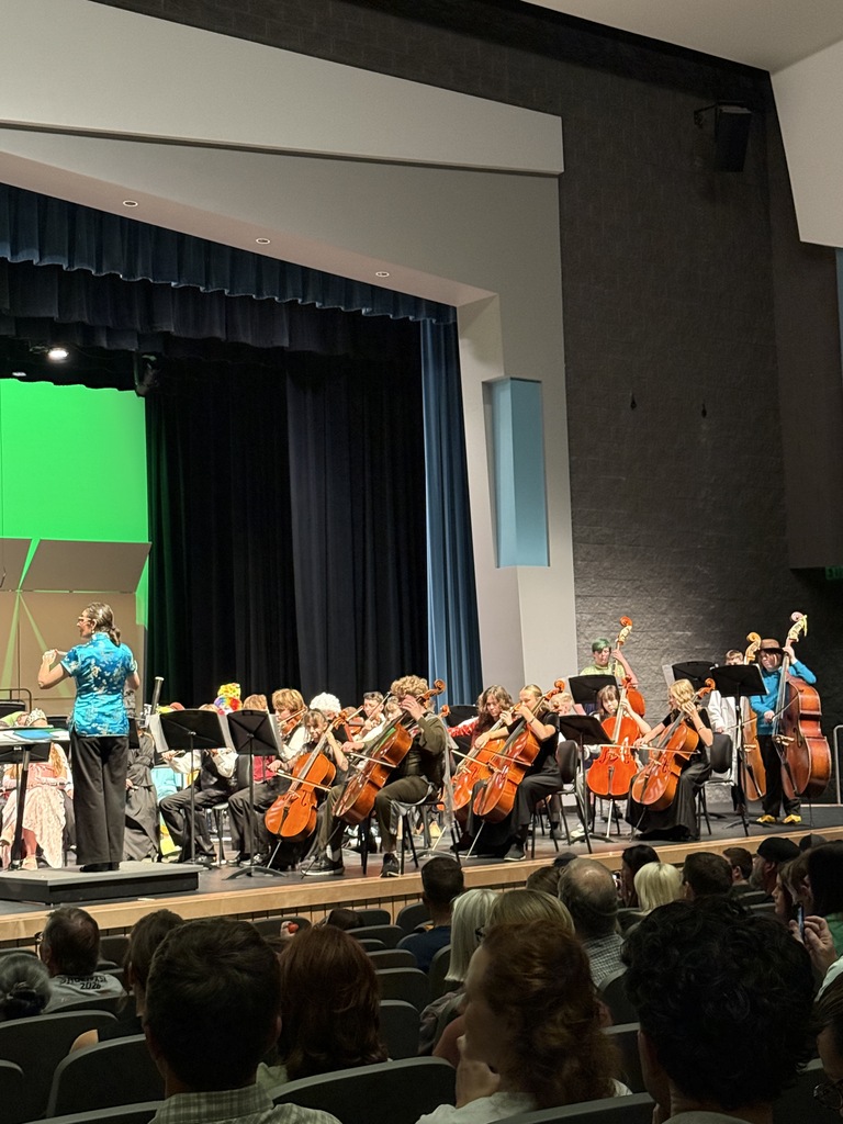 Orchestra performing tonight. 