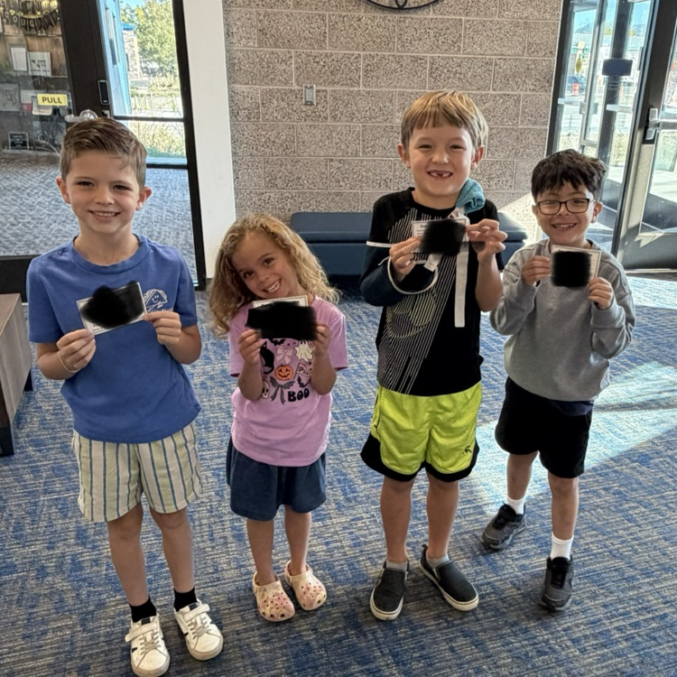 Cougar card winners