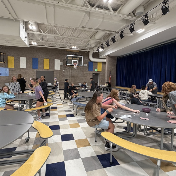 cougar card winning activity