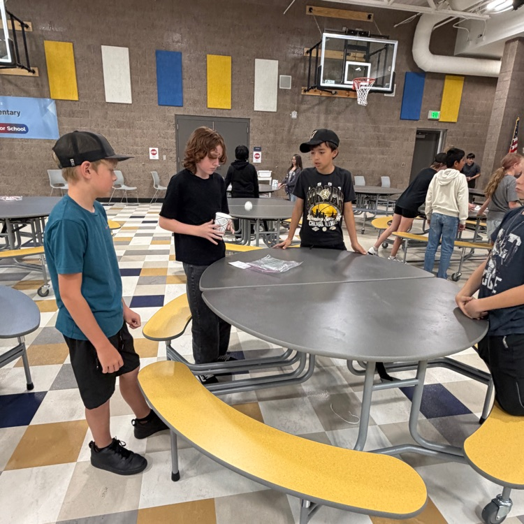 cougar card winning activity