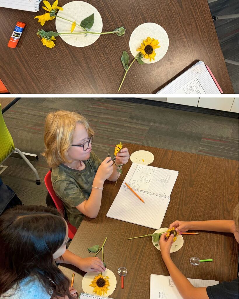 Odyssey students explored sunflowers, learned about soil coring, participated in Math Café and kindergarten buddy activities, and enjoyed a class trip to the zoo.