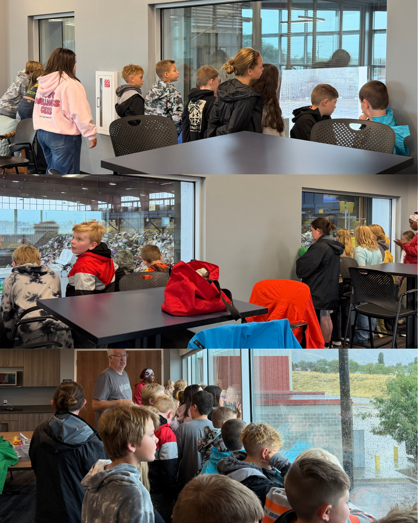Photo collage of students looking out of window