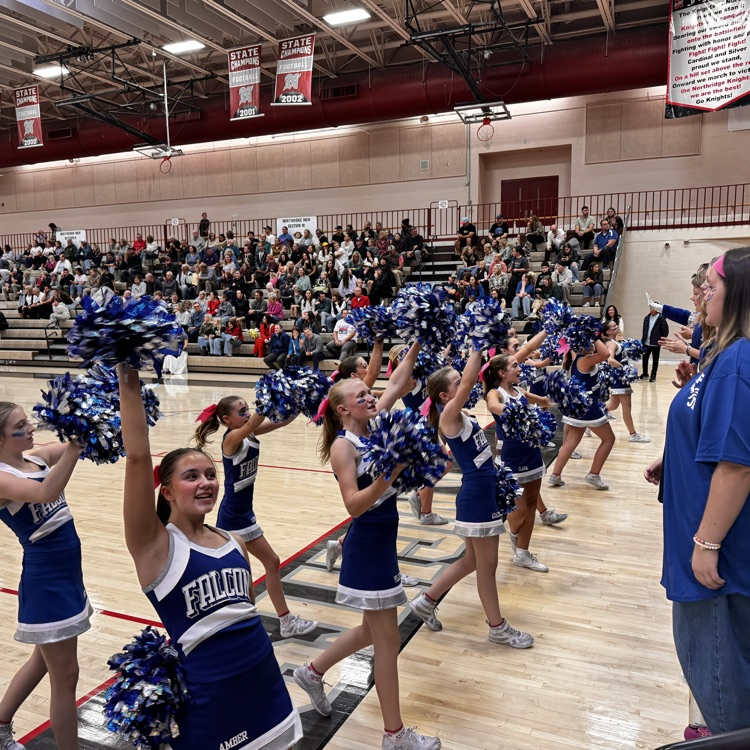 cheerleaders cheering at volleyball game