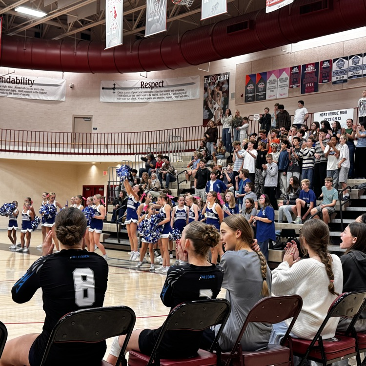fans cheering at volleyball game