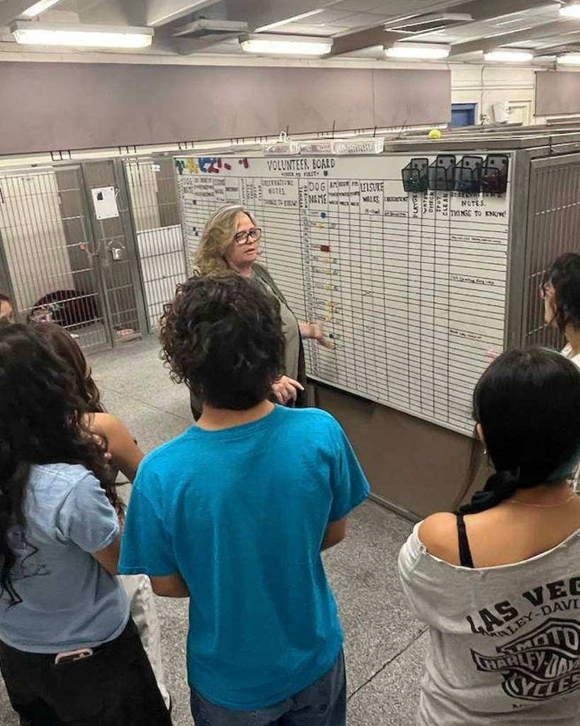 Davis High LIA students learning at the Davis County Animal Care Center. 