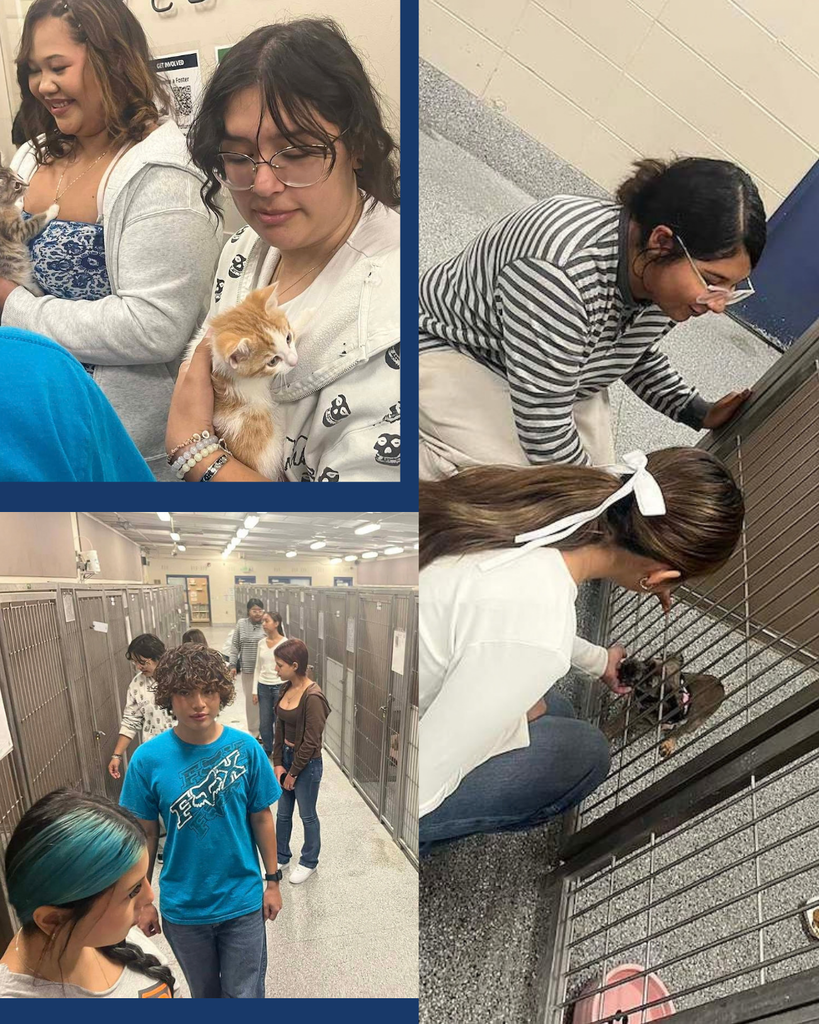 Davis High LIA students holding animals at the Davis County Animal Care Center. 