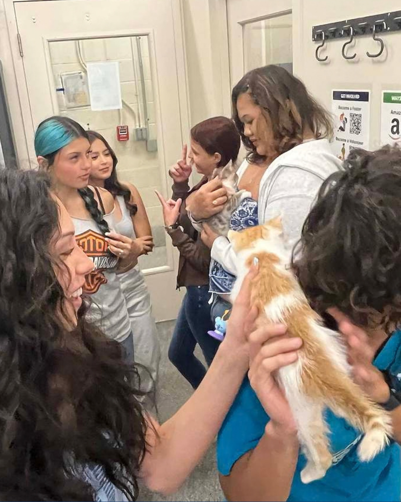 Davis High LIA students holding animals at the Davis County Animal Care Center. 