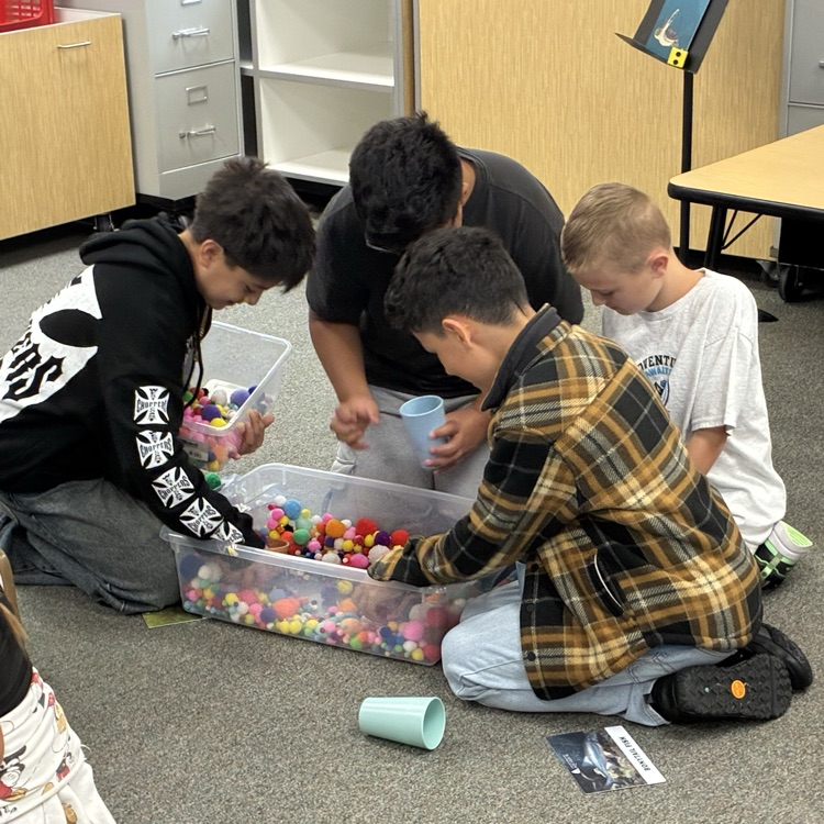 students doing an activity together