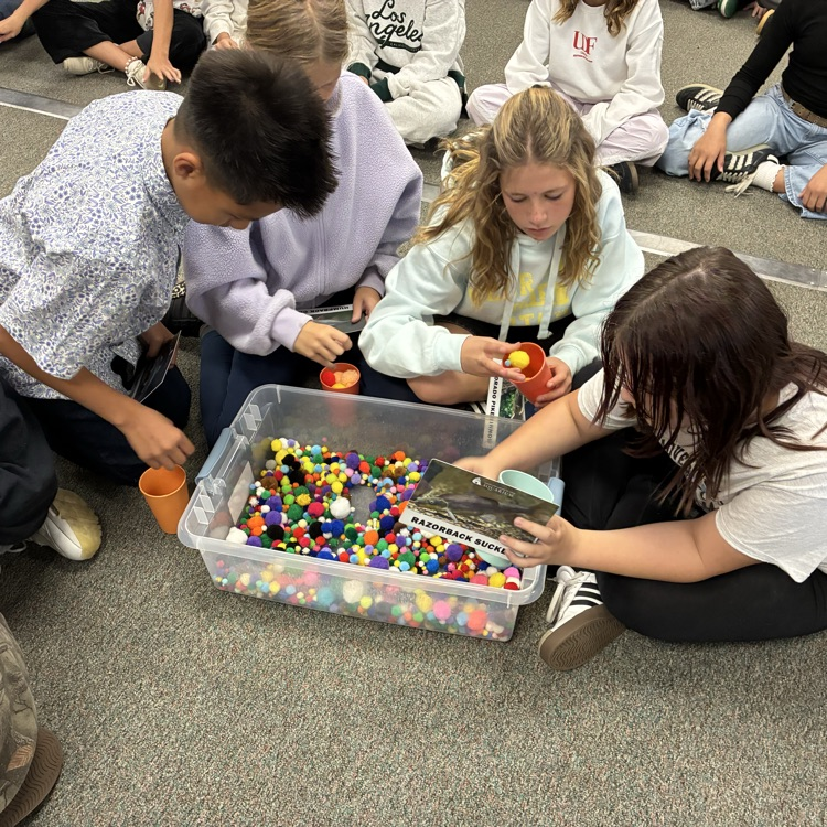 students doing activity together