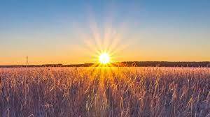 Summer sun