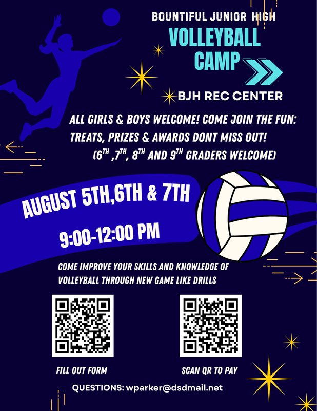 Volleyball Camp