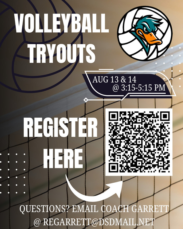 VB Tryout Information