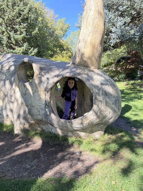 One student stands inside a giant, partial triceratops skull on the playground.