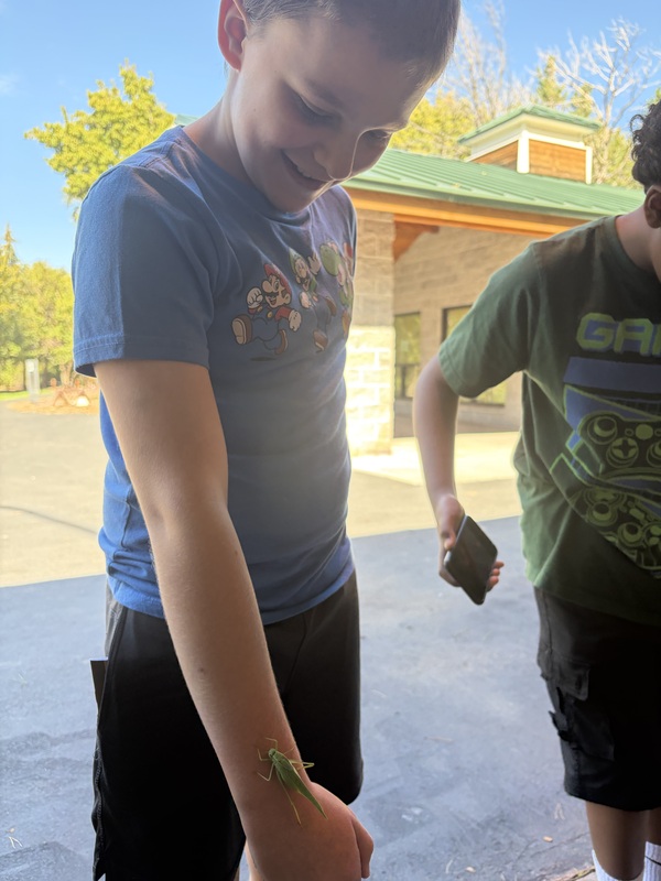 A boy with a katydid on his arm.