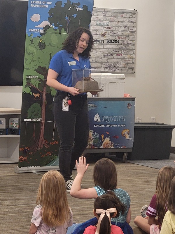 A presenter holds a tarantula in a clear container while speaking to a group of students seated on the floor. One girl is raising her hand.