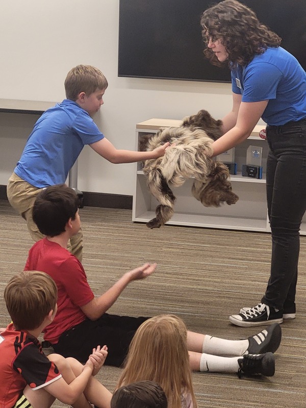 One boy feels the fur pelt of a sloth held by the presenter while other children wait their turn.