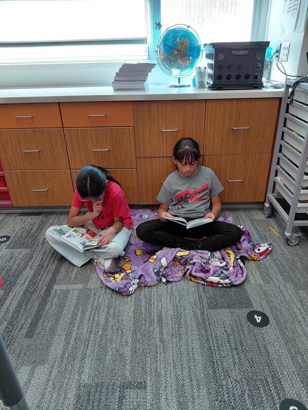 Students laying on blankets reading books.