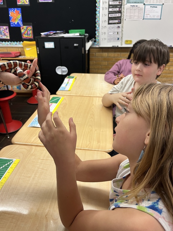 4th grade students meeting a small red, white, and blacked striped snake