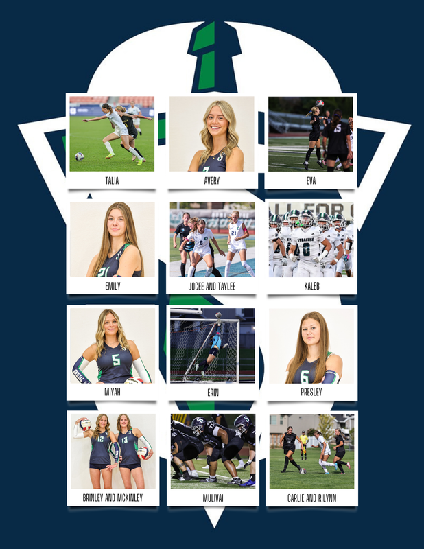 collage of the 15 all-state fall sport recipients