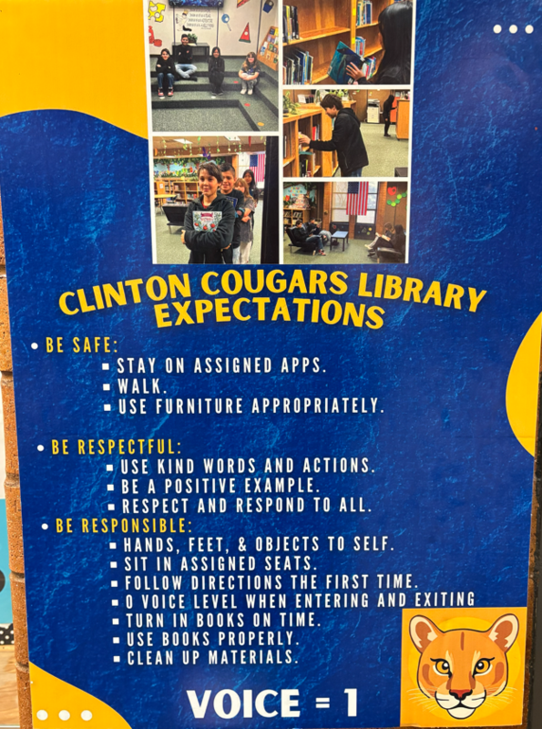 Library Expectations