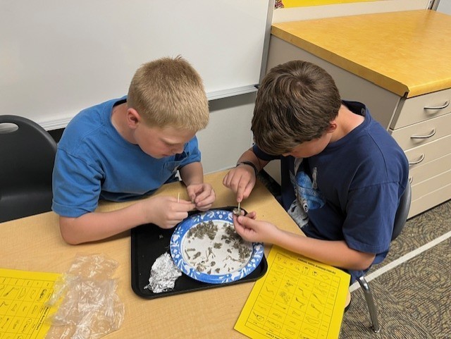 m at a desk dissecting owl pellets