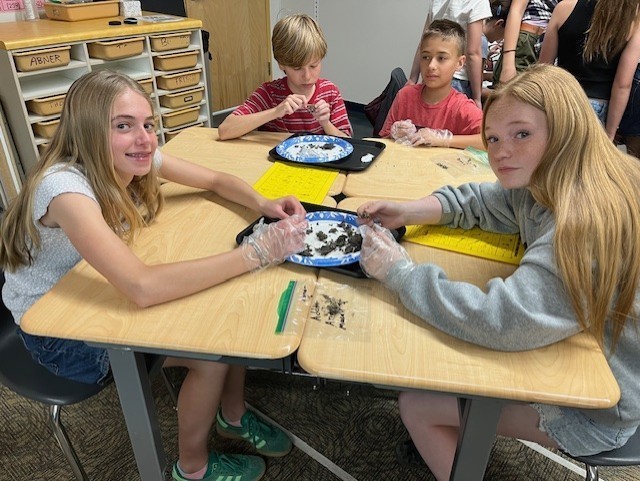 m at a desk dissecting owl pellets