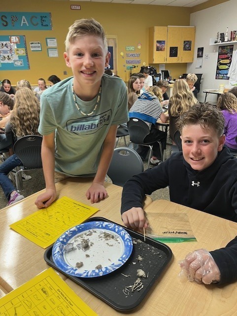 m at a desk dissecting owl pellets