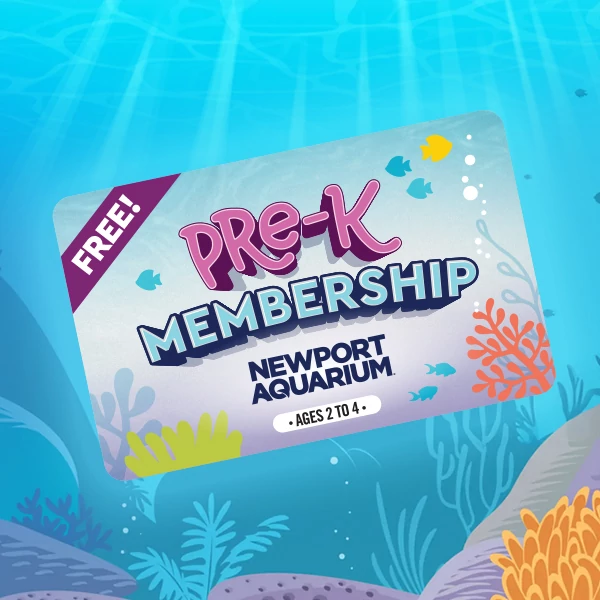Free Pre-K Membership