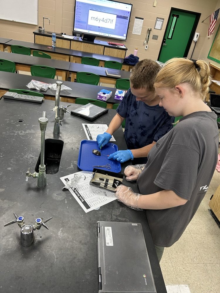 DHS students dissecting an owl