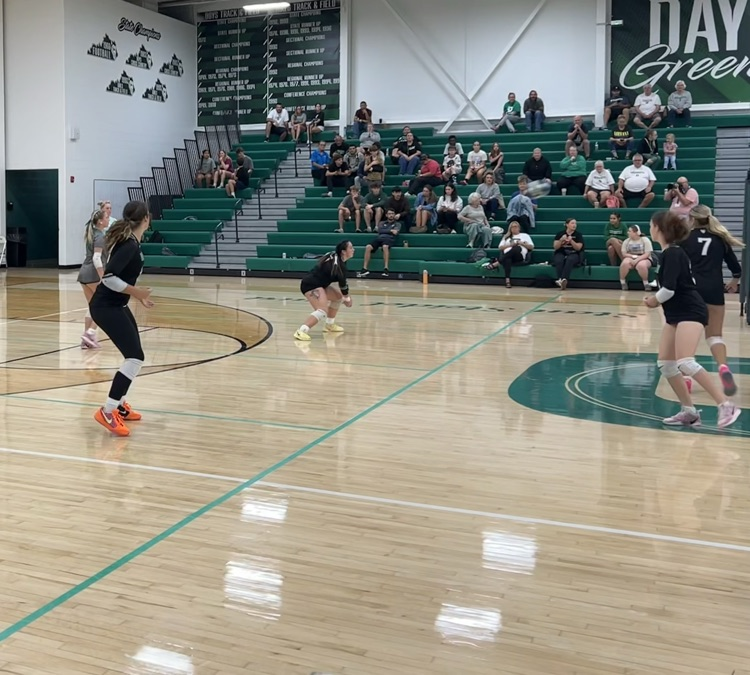 DHS Volleyball