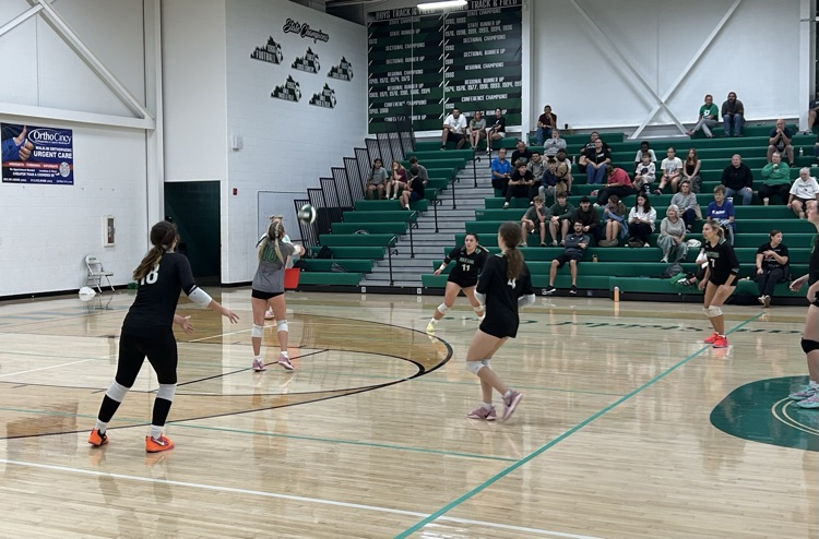 DHS Volleyball