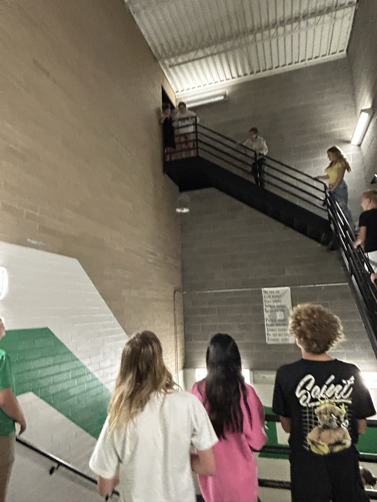 DHS egg drop experiment 