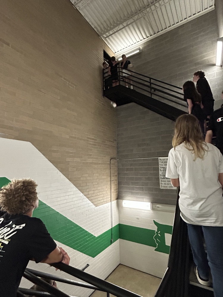 DHS egg drop experiment 