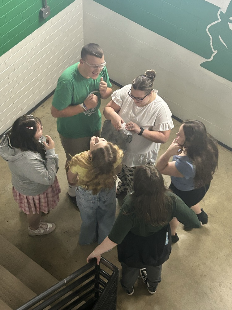 DHS egg drop experiment 