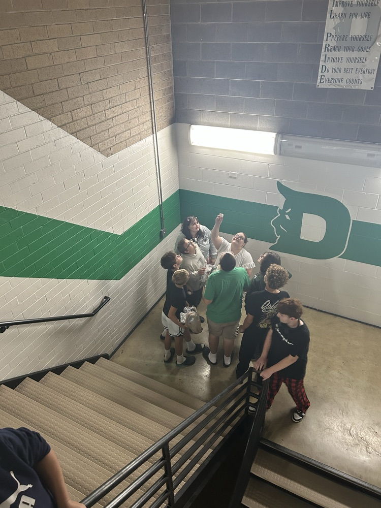 DHS egg drop experiment 