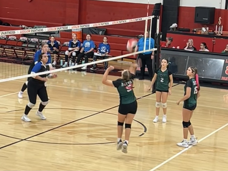 DHS 7th grade volleyball