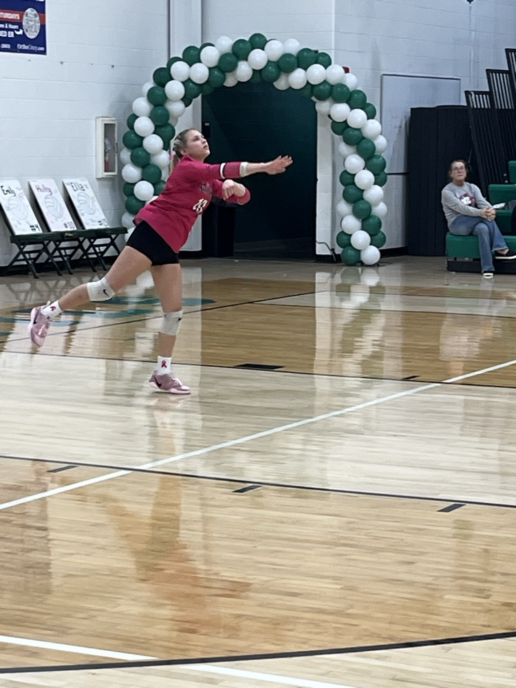 Hailey 1000th career dig