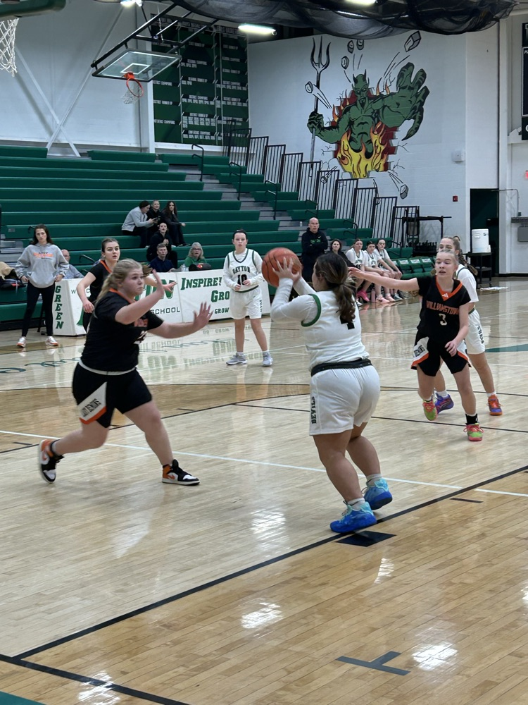 DHS Lady Greendevils JV Team