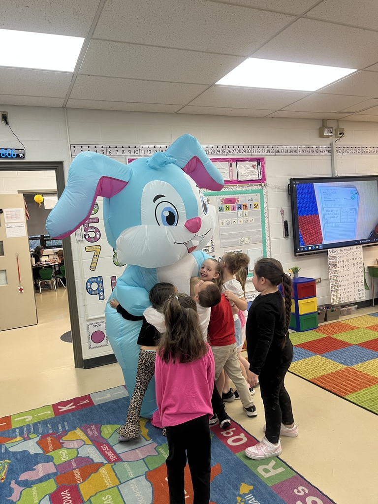 Classroom with bunny