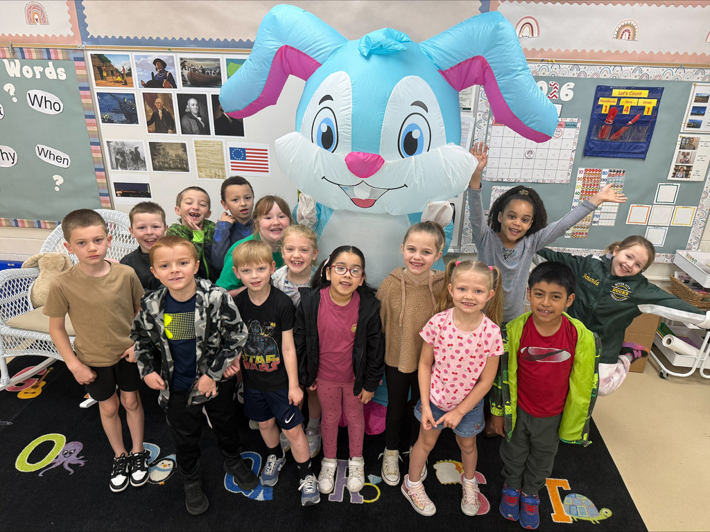 Classroom with bunny