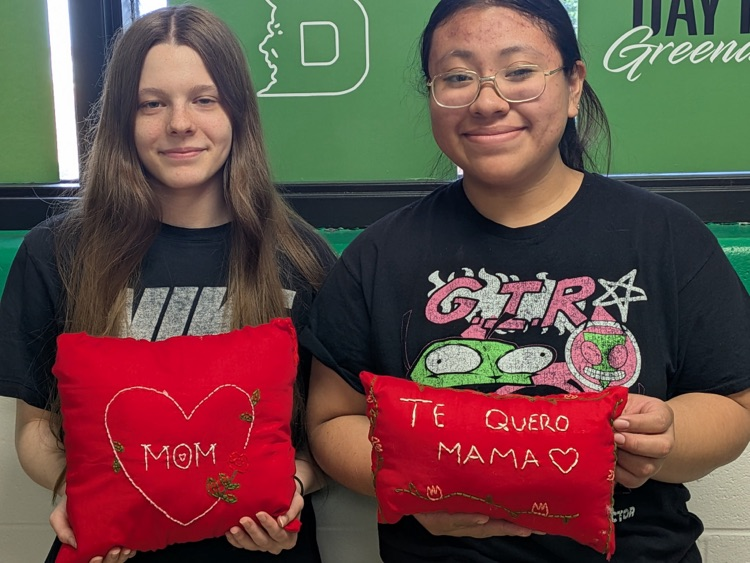 DHS Life Skills-backstitch pillows