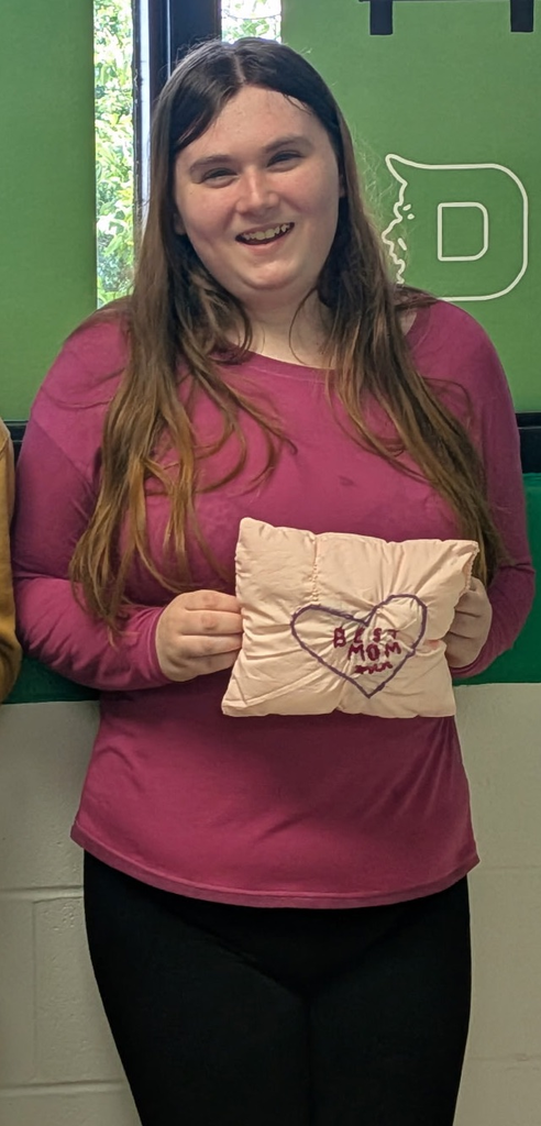 DHS Life Skills-backstitch pillows