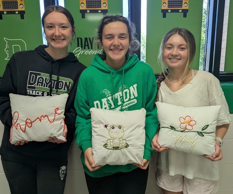 DHS Life Skills-backstitch pillows