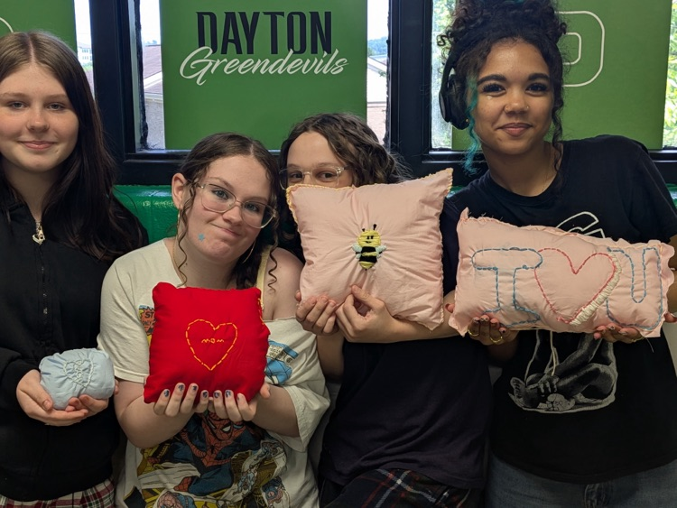 DHS Life Skills-backstitch pillows