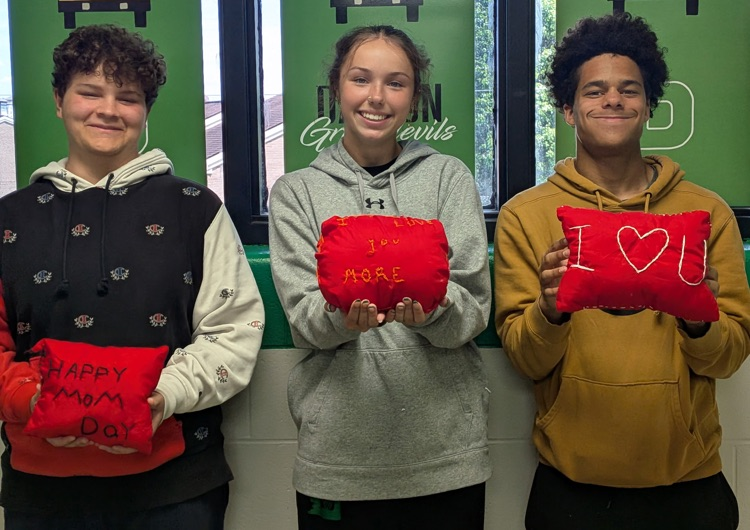 DHS Life Skills-backstitch pillows